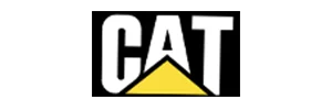 Cat logo